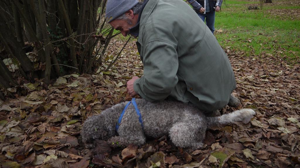 Cascina Arcangelo Raffaele Verduno Zewnętrze zdjęcie