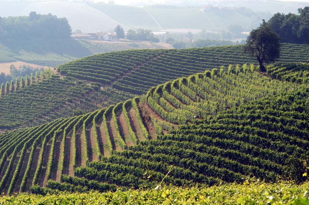 Cascina Arcangelo Raffaele Verduno Zewnętrze zdjęcie