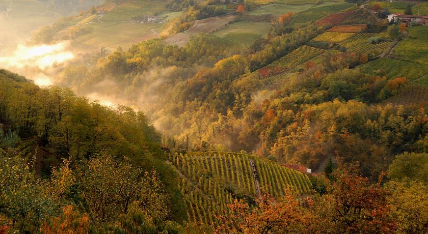 Cascina Arcangelo Raffaele Verduno Zewnętrze zdjęcie
