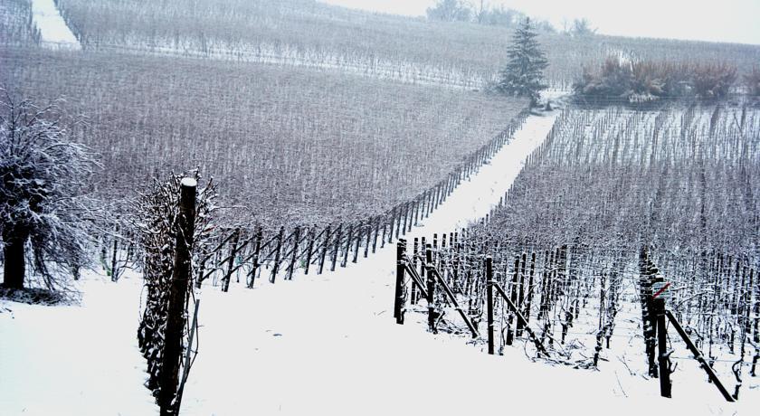 Cascina Arcangelo Raffaele Verduno Zewnętrze zdjęcie