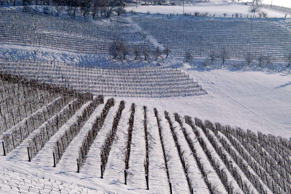 Cascina Arcangelo Raffaele Verduno Zewnętrze zdjęcie