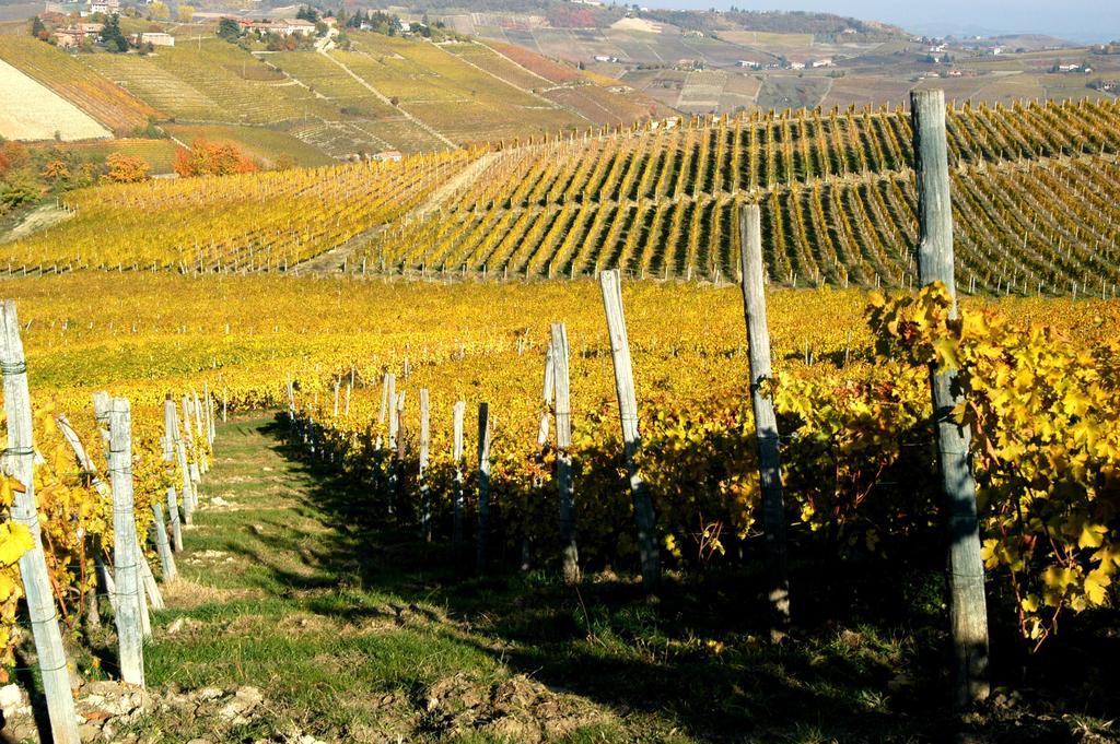Cascina Arcangelo Raffaele Verduno Zewnętrze zdjęcie
